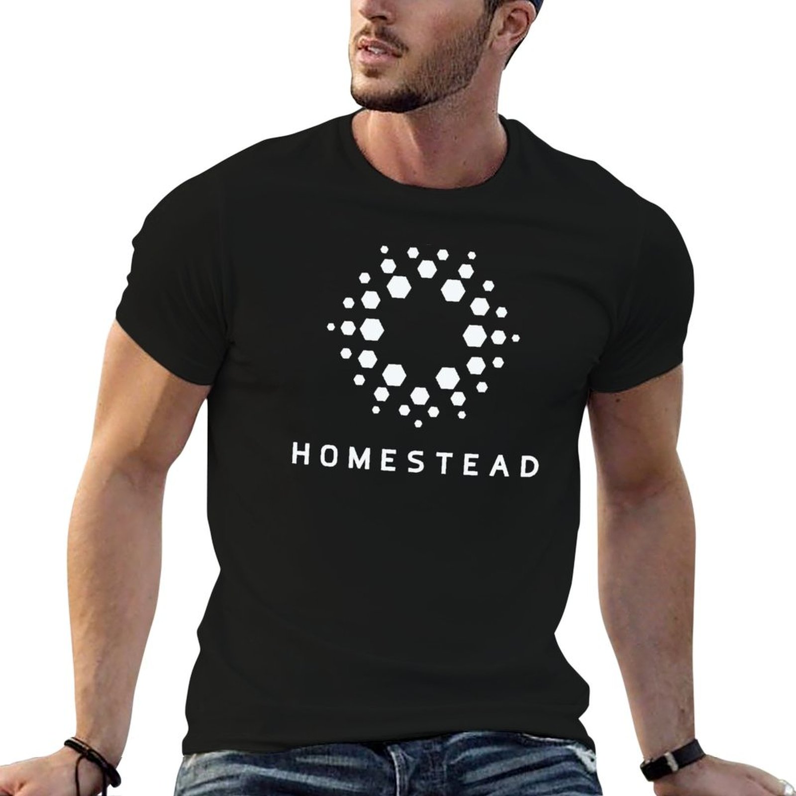 Homestead Lighting & Decor Oconomowoc - Homestead - Passengers - Kaos Ringan