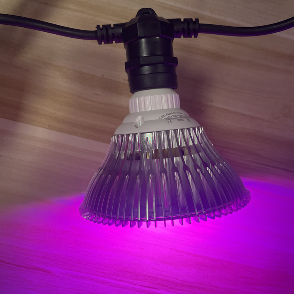 Kabel LED 10M Kelas Komersial  - String Light Outdoor ulasan dan harga