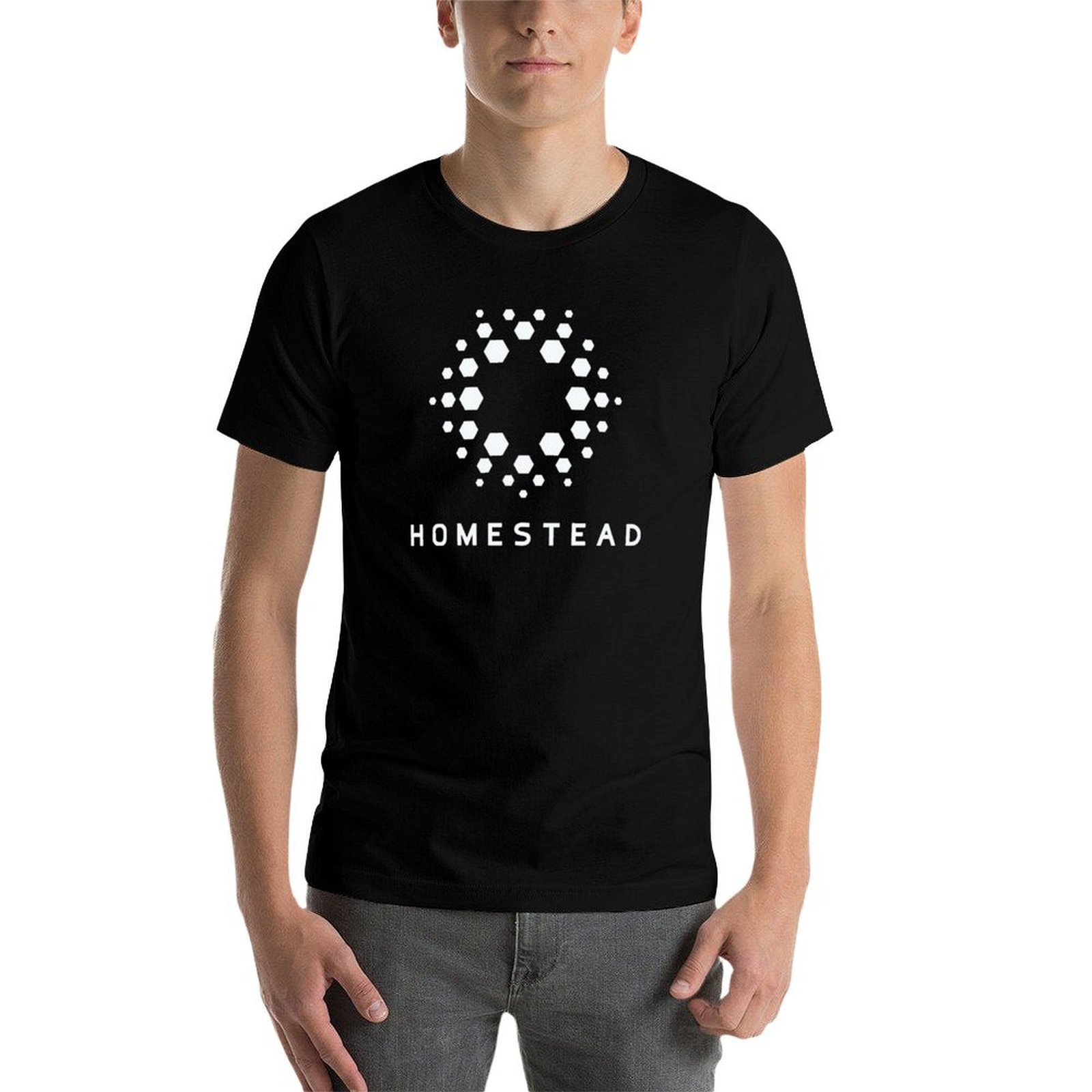 Homestead - Passengers - Kaos  - Homestead Lighting & Decor Oconomowoc ulasan dan harga