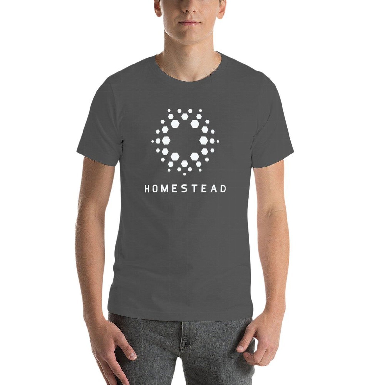 Homestead - Passengers - Kaos  - Homestead Lighting & Decor Oconomowoc ulasan dan harga